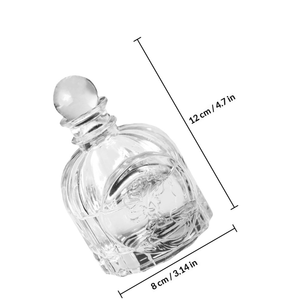 5Sets Fragrance Bottles Transp - Home Fragrance For Diffuser review and price