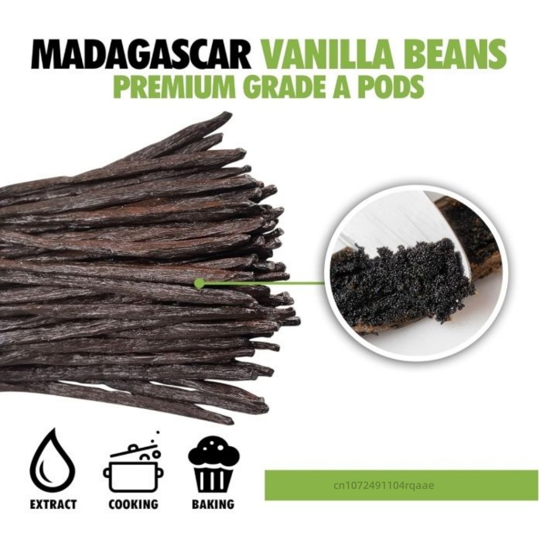 14-17cm Premium Madagascar Van - Home Fragrance Vanilla review and price