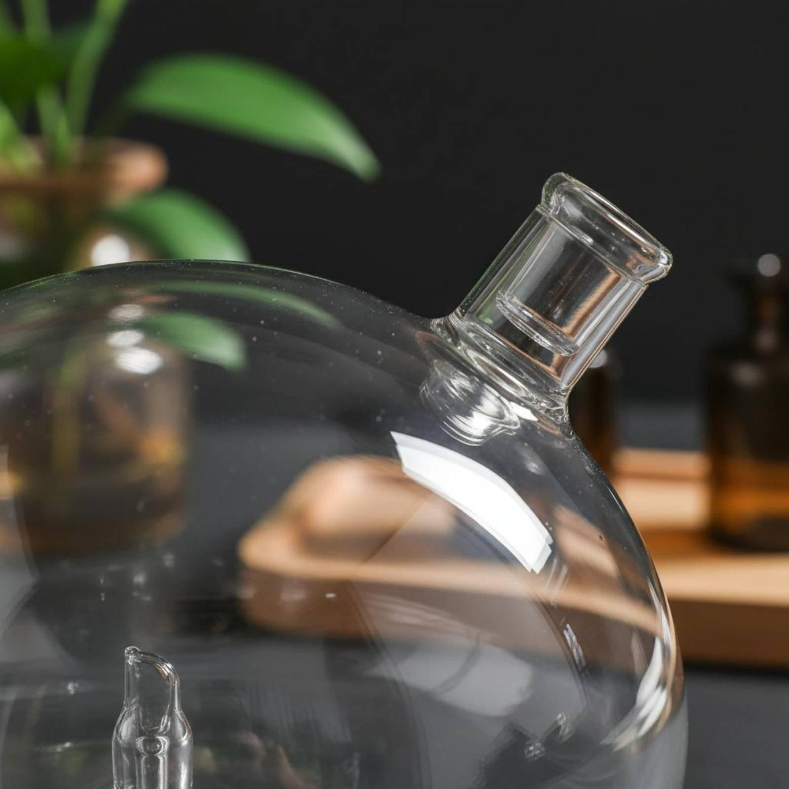 Diffuser Bottle Universal Fit  - Home Fragrance Usa review and price